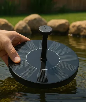 SolarSplash schwimmt in der Vogeltränke und startet in der Sonne
